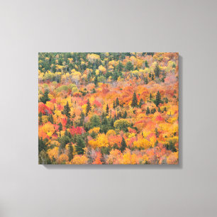 Autumn Foliage Keweenaw Peninsula, Michigan Canvas Print