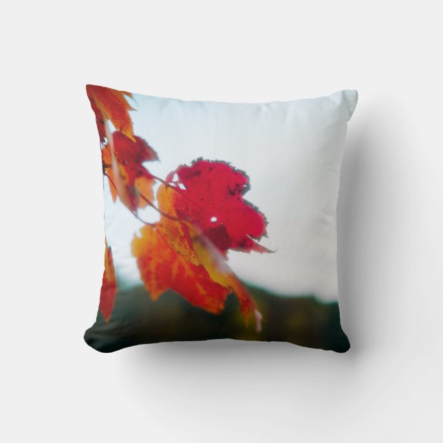 Autumn Foliage Pillow (Front)