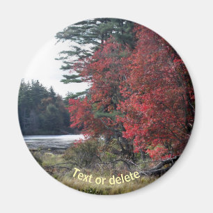 Autumn Foliage Pond Nature Photography Magnet