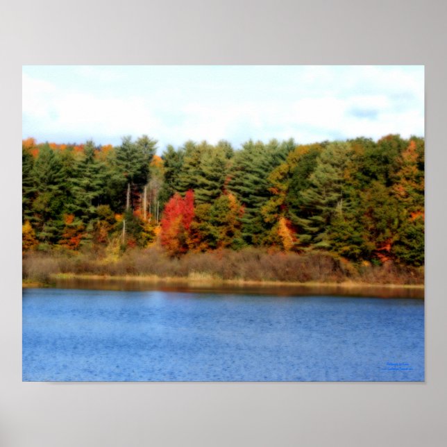 Autumn Foliage Pond Nature Print (Front)