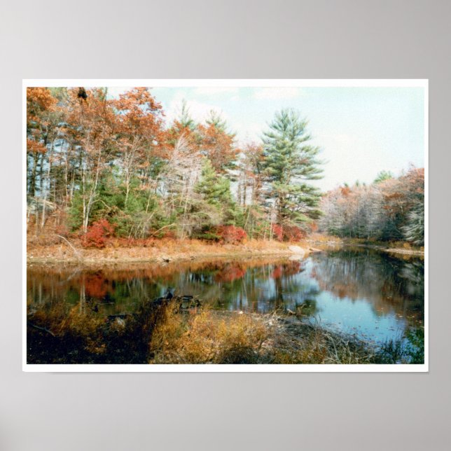 Autumn Foliage Poster (Front)
