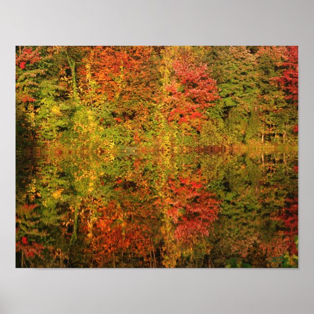 Autumn Foliage Reflections In Pond Nature Poster (Front)