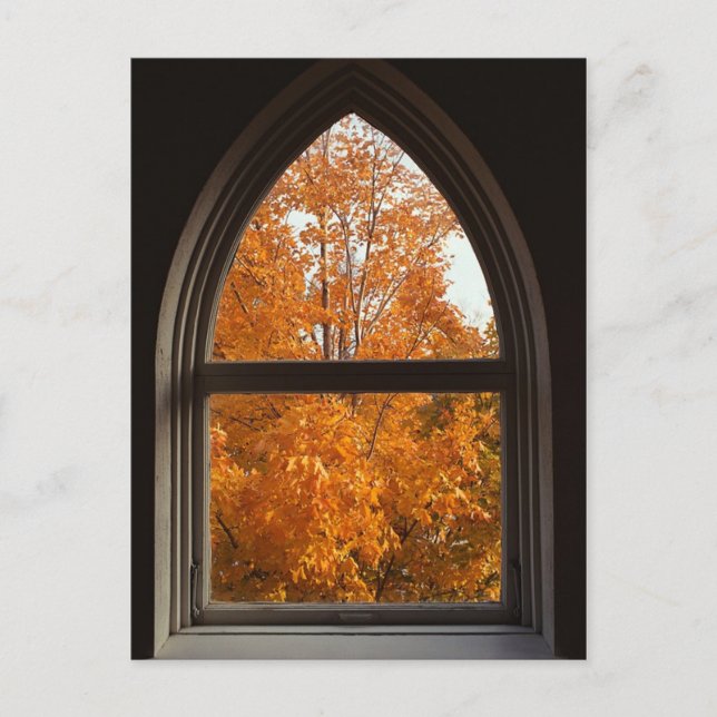 Autumn Foliage View Postcard (Front)