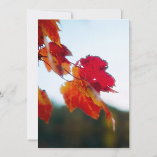 Autumn Foliage Wedding Invitation (Front)
