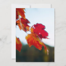 Autumn Foliage Wedding Invitation