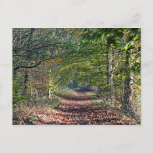 Autumn Footpath Poynton Cheshire Postcard