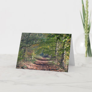 Autumn Footpath Poynton Cheshire Postcard