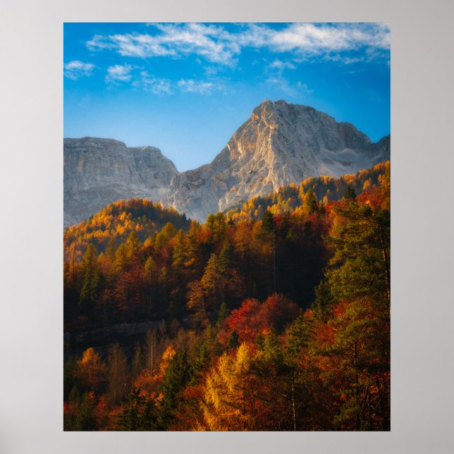 Autumn forest below mountains poster (Front)