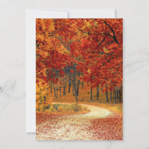 Autumn Forest Card