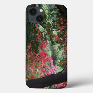 Autumn Forest iPhone 13 Case