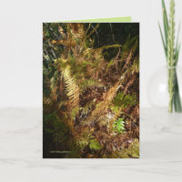 Autumn Forest Floor