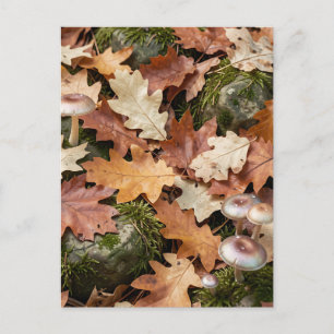 Autumn Forest Floor Mushrooms Moss Fallen Leaves Postcard