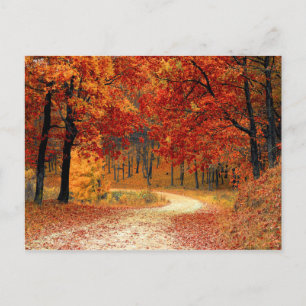 Autumn Forest Holiday Postcard