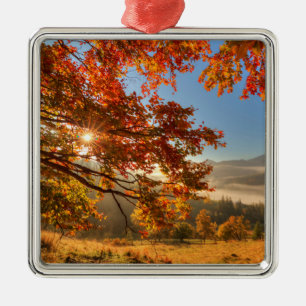 Autumn Forest in the Mountains Metal Tree Decoration