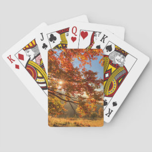Autumn Forest in the Mountains Playing Cards