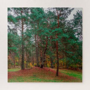 Autumn forest jigsaw puzzle