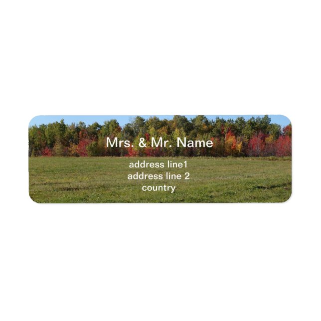 Autumn forest landscape (Front)