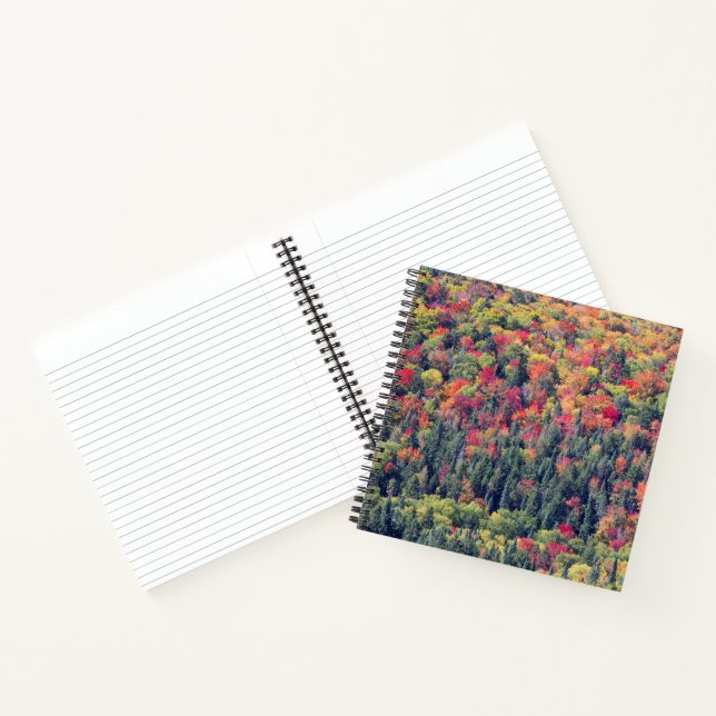 Autumn Forest Landscape Notebook (Inside)