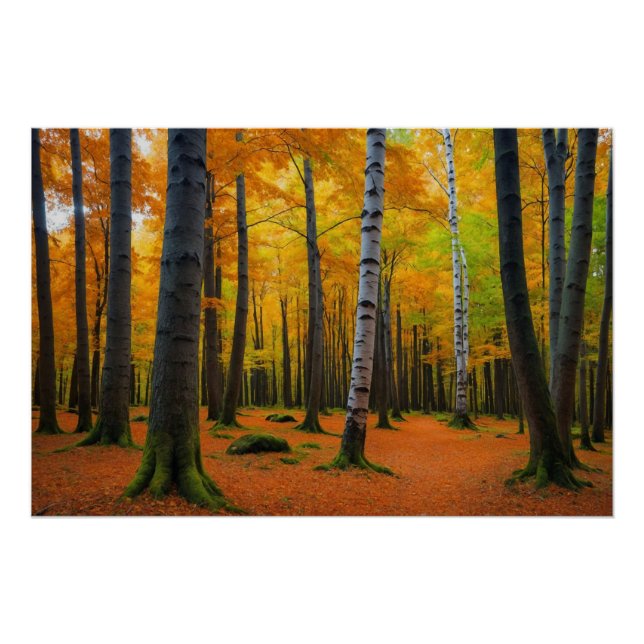 Autumn Forest Landscape Poster (Front)