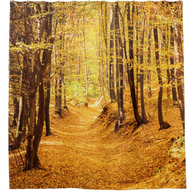 Autumn forest landscape shower curtain (Front)