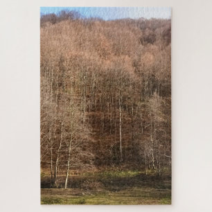 Autumn Forest Landscape - Wild Nature Romania Jigsaw Puzzle