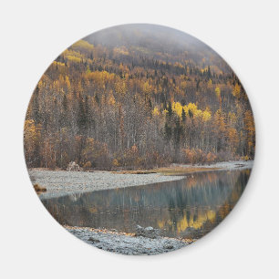 Autumn Forest Landscape with Golden Trees Magnet