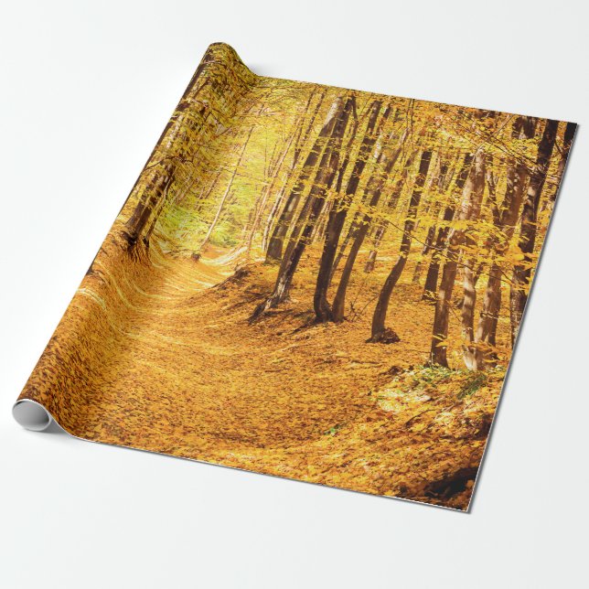 Autumn forest landscape wrapping paper (Unrolled)