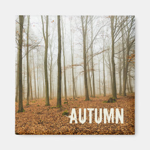 Autumn Forest Mist and Fog Fall Season gift Magnet