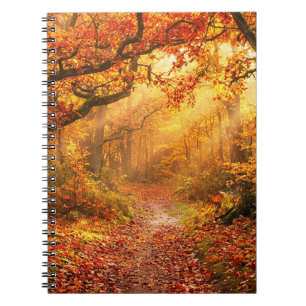 Autumn Forest Notebook