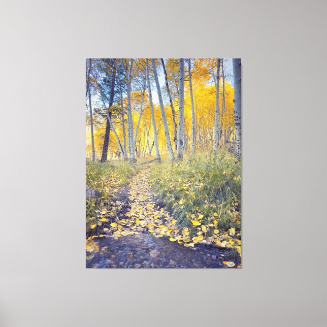 Autumn Forest Path  Canvas Print (Front)