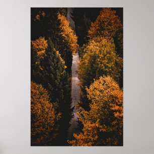 Autumn Forest Path Poster