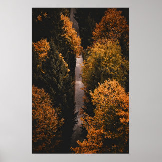 Autumn Forest Path Poster