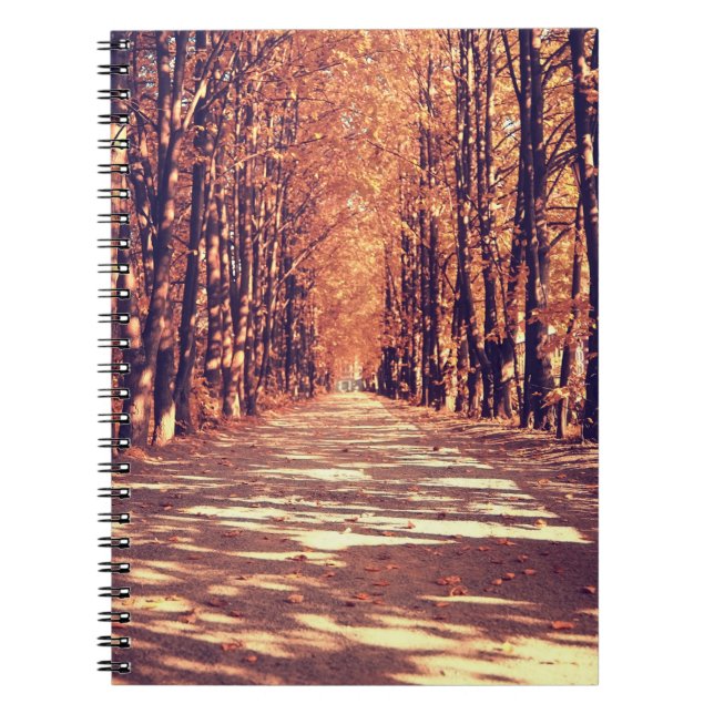Autumn Forest Path: Tranquil Landscape Journey Notebook (Front)