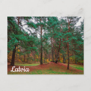 Autumn forest postcard