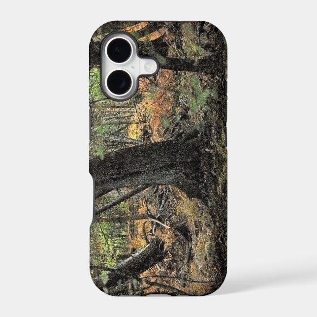Autumn forest scene             (Back)