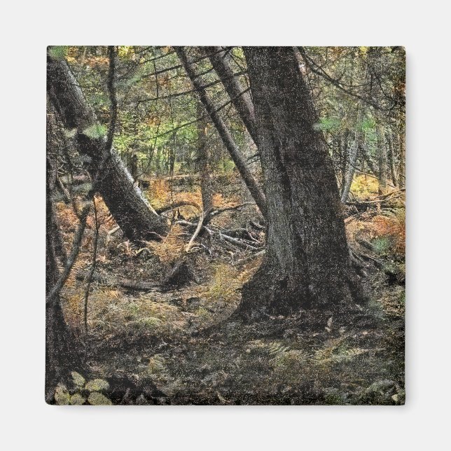 Autumn forest scene                magnet (Front)