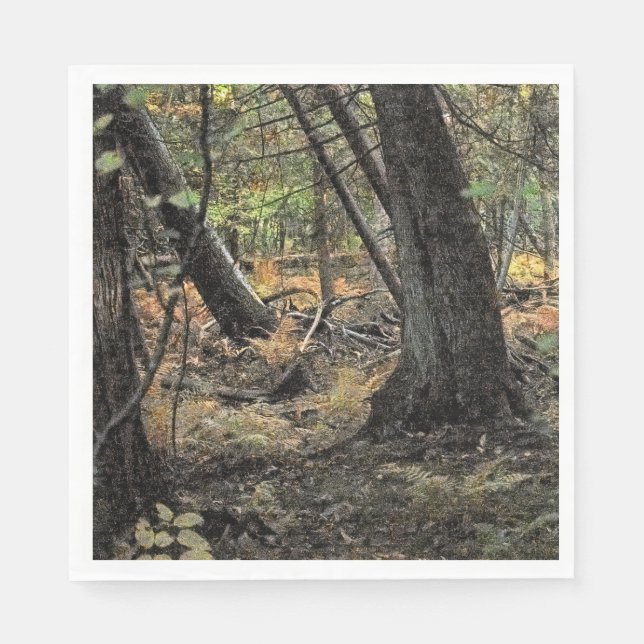 Autumn forest scene                   napkin (Front)