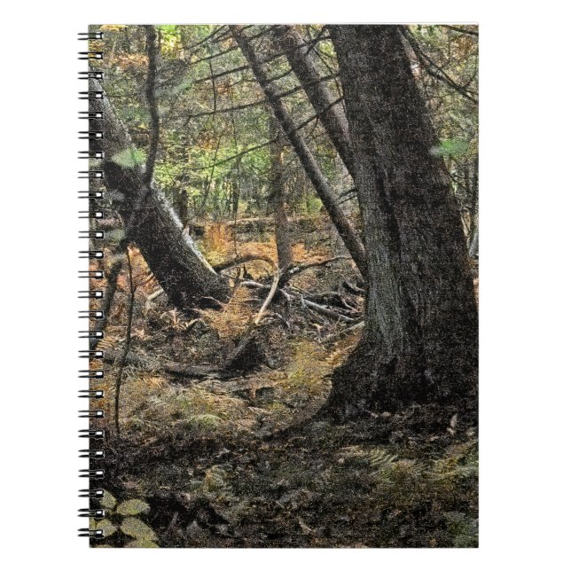 Autumn forest scene              notebook (Front)