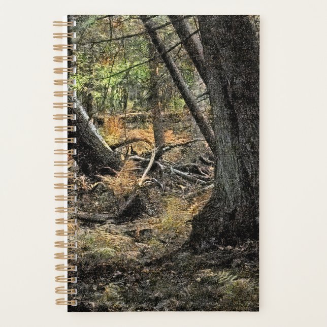 Autumn forest scene              planner (Front)