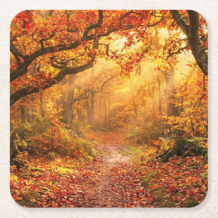 Autumn Forest Square Paper Coaster