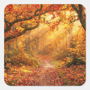 Autumn Forest Square Sticker