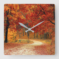 Autumn Forest