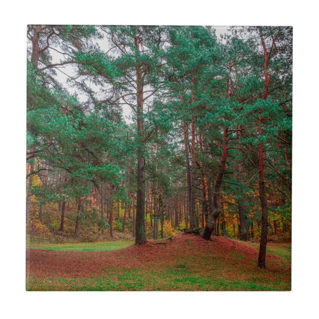 Autumn forest tile (Front)