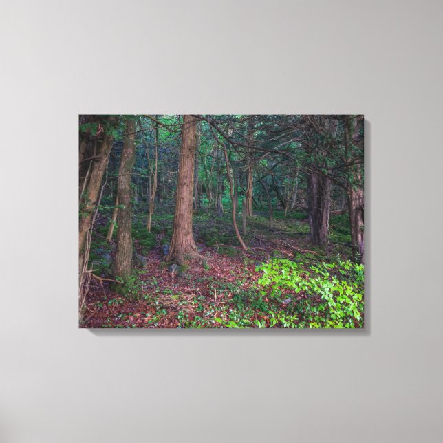 Autumn forest view canvas print (Front)