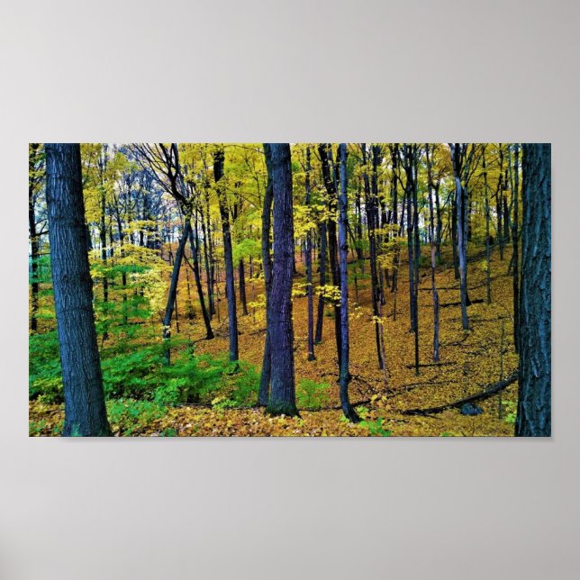Autumn Forest, West Bend, Wisconsin Poster (Front)