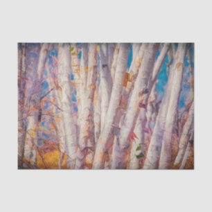 Autumn Forest White Birch Trees Tissue Paper