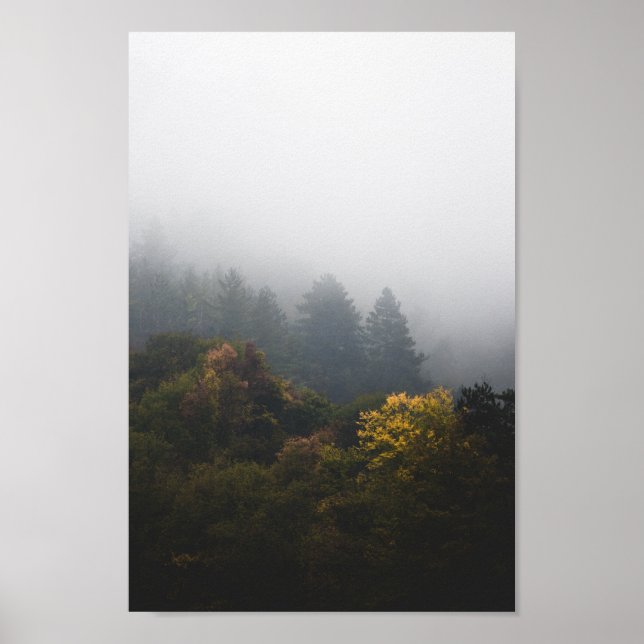 Autumn forest wrapped in fog poster (Front)