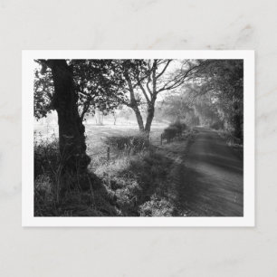 Autumn Frost in Cheshire Postcard
