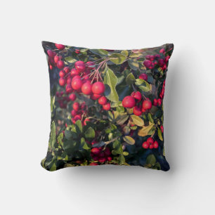 Autumn fruit cushion