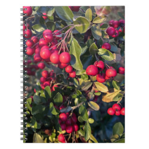 Autumn fruit notebook